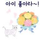 아이플라워 메이트 이미지