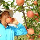 덕현농장 이미지