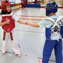 예담 효 태권도장 이미지