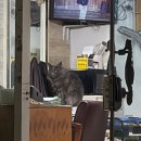 원남로-16 | 띄어쓰기를하지않는이유는너를향한내마음이여백없이빽빽해서야