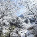 설경 아름다운 제주 한라산 영실코스 산행하고 스파로 休 이미지