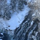 오주농장 | [일본/삿포로][2]흰그림자 소규모 비에이투어/흰수염폭포/우유목장/크리스마스트리/몬자야끼