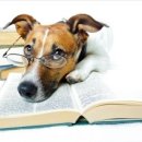 영어(초급) 이미지