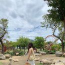 벽산목장 이미지