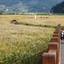 전망대펜션 이미지