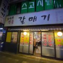 비고리조트 16 이미지