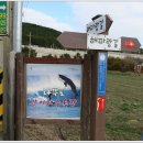 다무포간이해수욕장 이미지