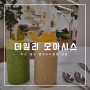 데일리 오아시스🐫 :: 오산 세교 / 수플레와 말차가 맛있는 카페 추천