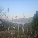 상단농장 이미지