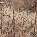 도토리농장 이미지