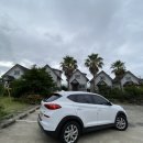 자인빌리지펜션 이미지