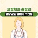 보보스빌딩 | 경상남도 김해시 구산동 교정치과 총정리
