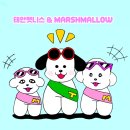 털보선장횟집 | 태안 안면도 맛집 털보선장횟집 애견 동반