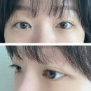 하니뷰티 | 인천 연수동 속눈썹펌 꼼꼼하고 예쁘게 해주는 &#39;하니뷰티&#39; 후기