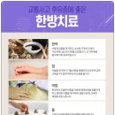 진영한의원 이미지