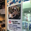 일광소나무집해산물전복죽 네이버블로그