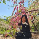 예산농원 - 예산군 충서로 244-1 | 예산농원