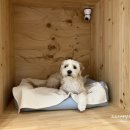 견생낙원 이미지