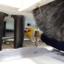 유성전기 이미지