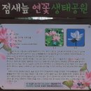 안심창조밸리 천천둘레길 이미지