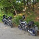 맘모스모터스 이미지