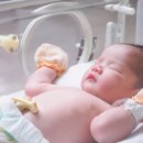 잘 - 성남시 분당구 금곡로23번길 14 | 잘