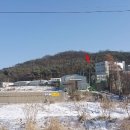 옹달샘약국 이미지