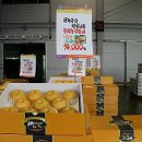 자인농업협동조합 이미지