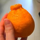 늘을1로73번안길2 | 2026.04.12. 나란히 걷는 이 거리는 달빛 아래 은하수를 닮은 듯해 이대로 시간이 멈춰 이 밤의 끝에 더...