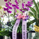 행운농산