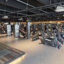 마블 피트니스 이미지