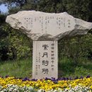 산에는꽃이피네 이미지