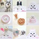 멍냥과자 이미지