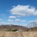 흥부네부동산공인중개사사무소 이미지