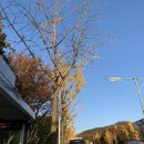 목우촌마을 청계산점 | 등산일기 | 청계산 매봉 그리고 목우촌마을