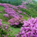 서경민박 이미지