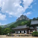 청송유기농 | 청송 주왕산 주왕계곡코스 부모님과 다녀온 트레킹 후기 주산지·소노벨 청송까지 2박3일 여행