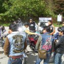 클럽아파치 이미지