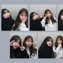 이집트경양식 이미지