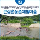 두계외갓집농촌체험휴양마을 | [청운 가볼 만한 곳] 재방문율 60%가 넘는 압도적 농촌체험의 메카! 큰삼촌농촌체험마을