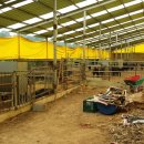 영광흑염소농장 이미지