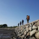 삼천포차 이미지