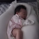 달콤하리 이미지