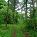 벨리펜션 이미지