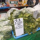 (버스)송탄시장 이미지