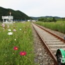 북천 레일바이크 역사 이미지