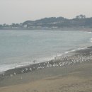 밸리댄스페스티벌 이미지