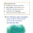 연세대학교 간호대학원 이미지