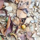 백석근린공원 이미지