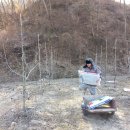 이든농장 이미지